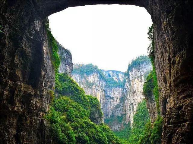 动物帮帮忙保卫家园